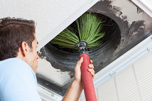 Best Home Air Vent Cleaning  in Hillandale, MD